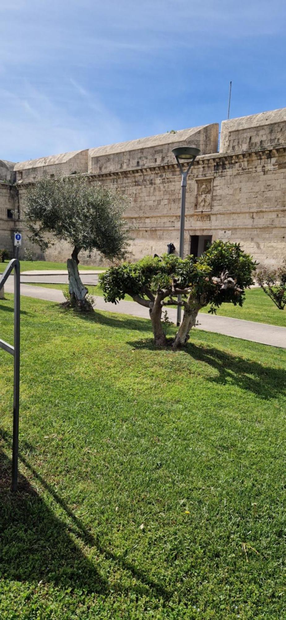 Md House Panzió Civitavecchia Kültér fotó